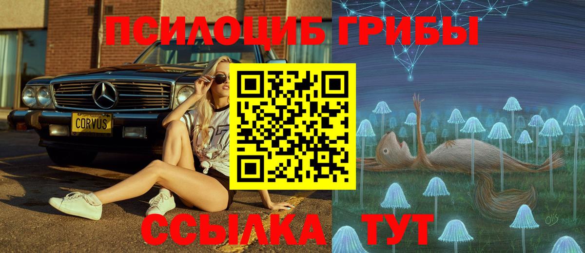 Псилоцибиновые грибы GOLDEN TEACHER Шелехов