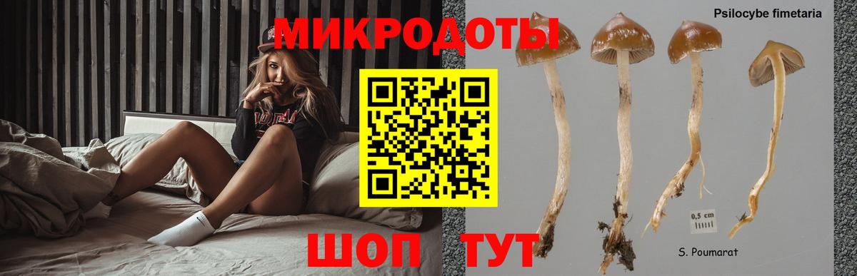 Шелехов  Псилоцибиновые грибы Magic Shrooms  Вход с VPN 